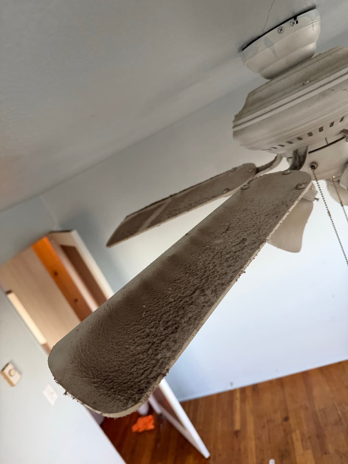 Home Cleaning in Tacoma, WA — Living Room before cleaning: Heavy dust on every blade