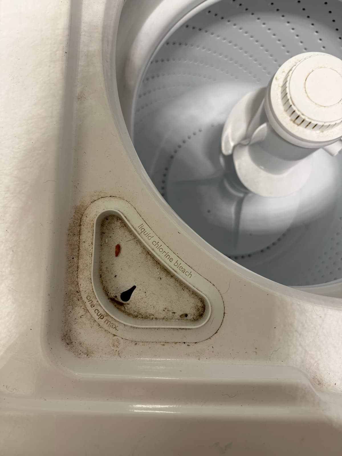 Home Cleaning in Auburn, WA — Laundry before cleaning: Mildew on agitator, bleach residue