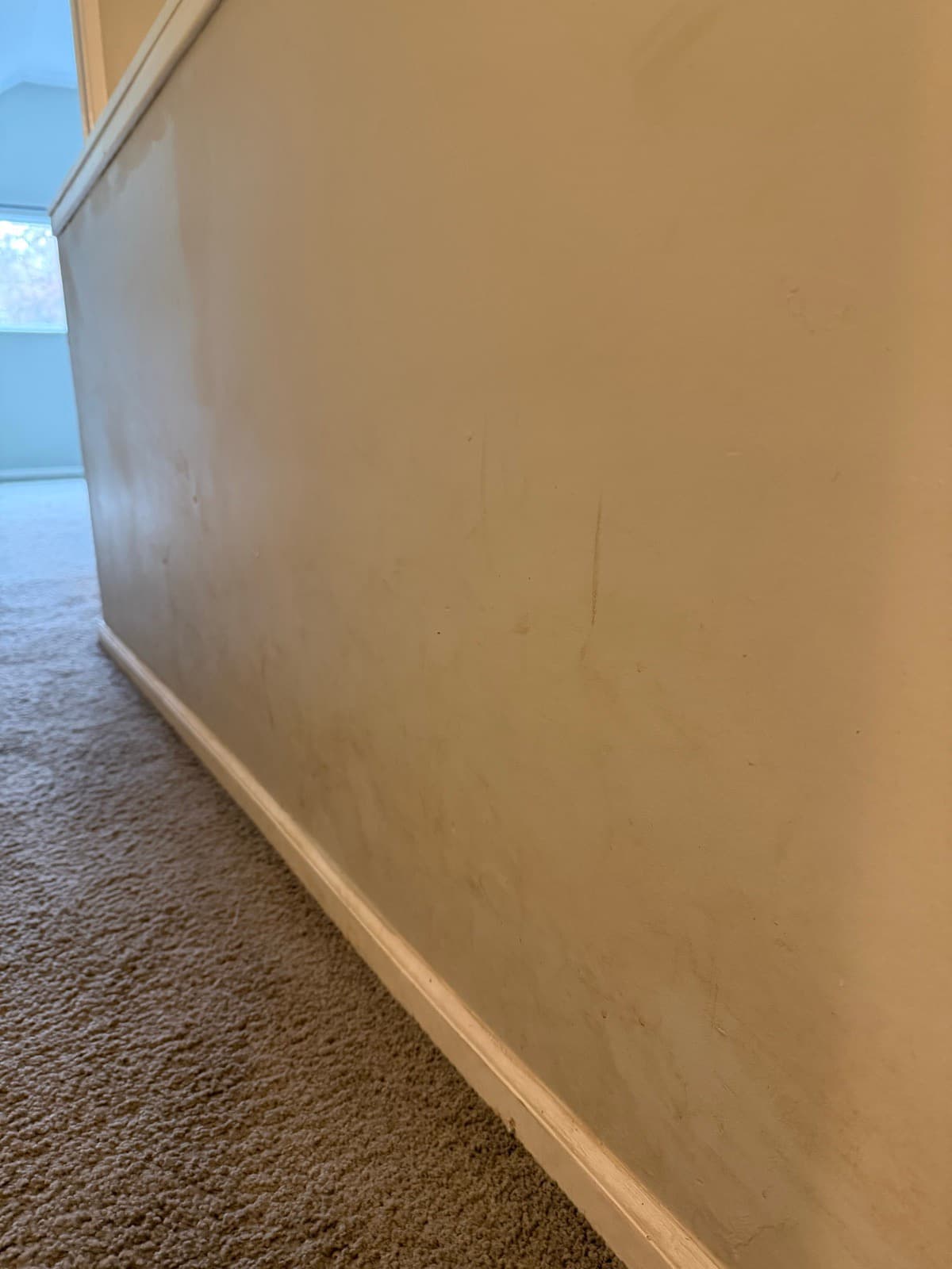 Home Cleaning in Tacoma, WA — Hallway before cleaning: Scuffs, hand prints, baseboard dust